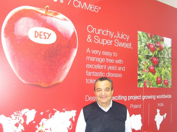 Italy's apple and strawberry variety innovation to be presented at Macfrut - Vimarsana News
