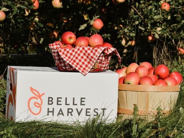 Michigan apple and vegetable supplier expands reach with acquisition - Vimarsana News