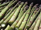 Cold weather stalls Michigan asparagus crop - Vimarsana News