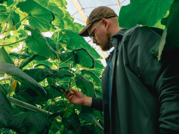 Greenhouse grower distributes eMagazine 'The Power of a Greenhouse' - Vimarsana News