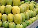 Pakistani mangoes set to arrive this month in the UAE - Vimarsana News
