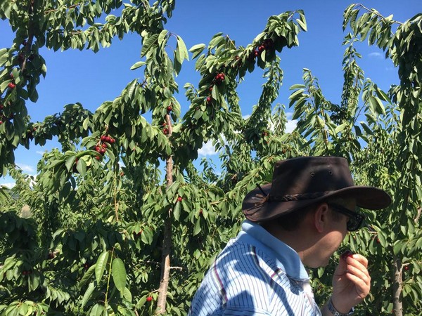 "Sharp decline in produce trade from North America to Europe has changed our business" - Vimarsana News