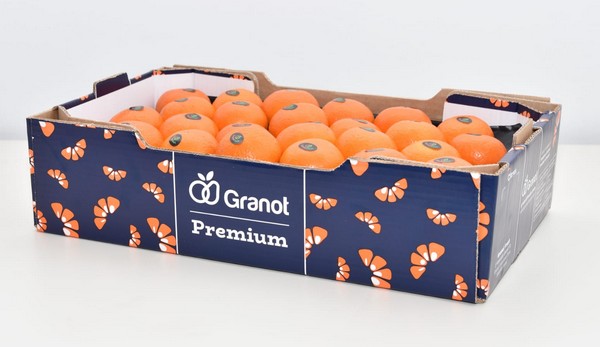 Average Israel Orri mandarin season coming to end - Vimarsana News