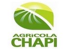 Agrícola Chapi expands avocado and table grape production - Vimarsana News