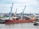 Port of Hamburg in a challenging environment - Vimarsana News