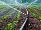 Kano River Irrigation Scheme improves situation for 140,000 farmers - Vimarsana News