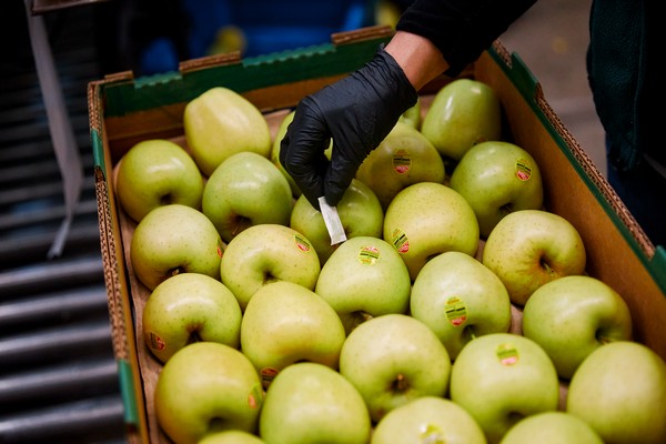 Apple shelf-life extension technology spans across companies of all sizes - Vimarsana News
