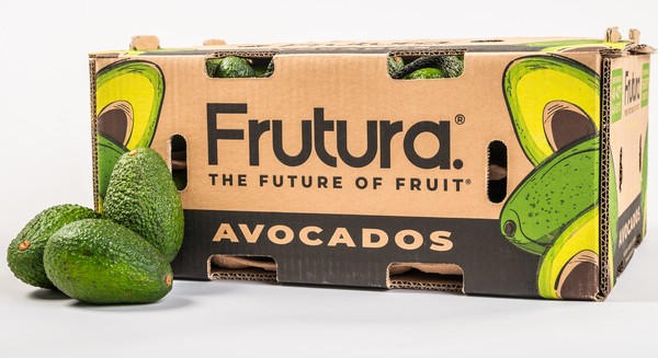 Frutura consolidates avocados under single brand - Vimarsana News