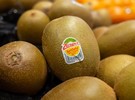 Syniti brings focus to data management for Zespri Horizon digital transformation - Vimarsana News