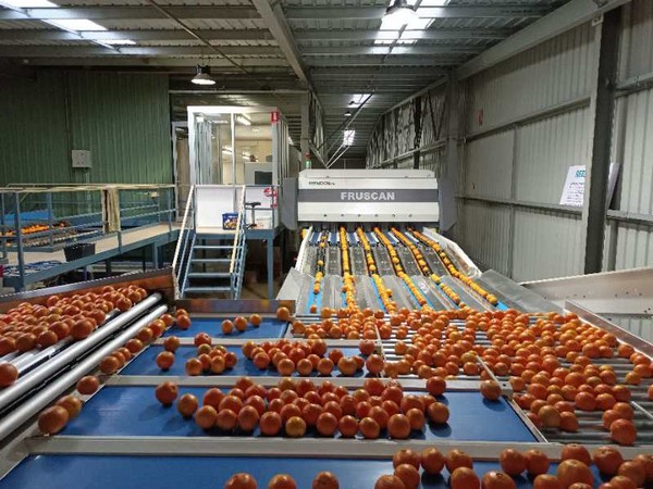 "This sorting line largely increased our sorting accuracy" - Vimarsana News