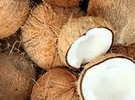 Sri Lanka: Coconut auction prices up 5.1 percent - Vimarsana News