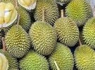 Malaysia still confident, despite growing Chinese durian industry - Vimarsana News