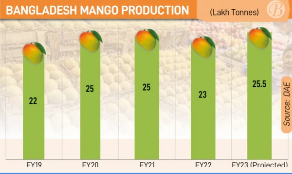 Department of Agriculture Extension predicts record mango yield in FY23 - Vimarsana News