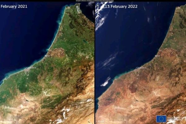 "Climate change is the new reality for Moroccan agriculture" - Vimarsana News