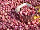 Agri Ministry Bangladesh still hesitant about onion imports - Vimarsana News