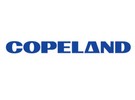 Blackstone completes acquisition of majority stake of Copeland - Vimarsana News