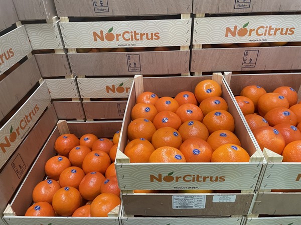 Peruvian citrus exporter looking to increase market share in Canada, Europe and UK - Vimarsana News