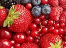 4th Red Fruit Festival will be held in Kénitra, Morocco - Vimarsana News