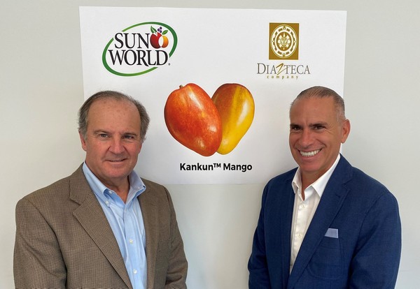 Global fruit breeding company acquires Kankun mango variety - Vimarsana News