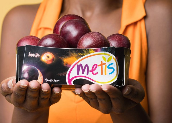 Metis® plum season kicks off despite the unfavorable weather conditions - Vimarsana News