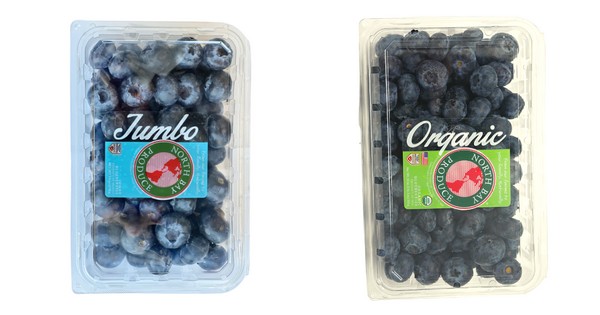 Consumers turning to jumbo blueberries more and more