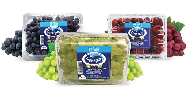 Oppy expands California table grape acreage - Vimarsana News