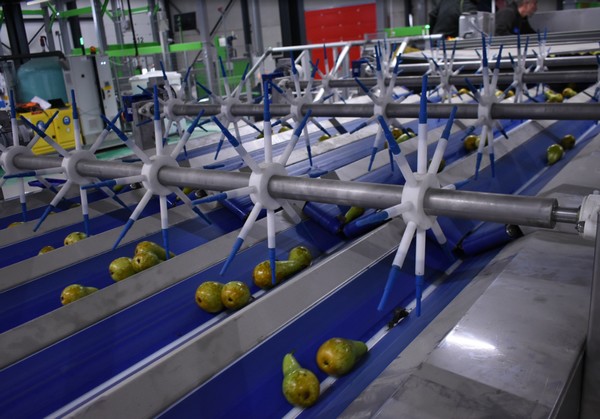 "World's first fully automated sorting center of its size" - Vimarsana News