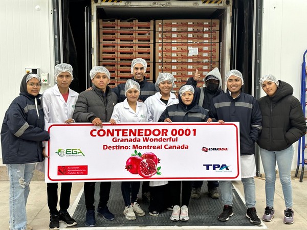 New Peruvian pomegranate farm completes first export season