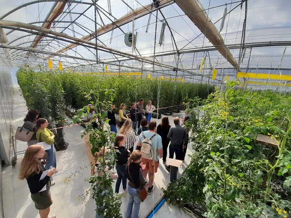 Short courses bring Dutch greenhouse tech to South African growers - Vimarsana News