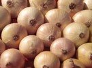 Uzbekistan beats onion exports record - Vimarsana News