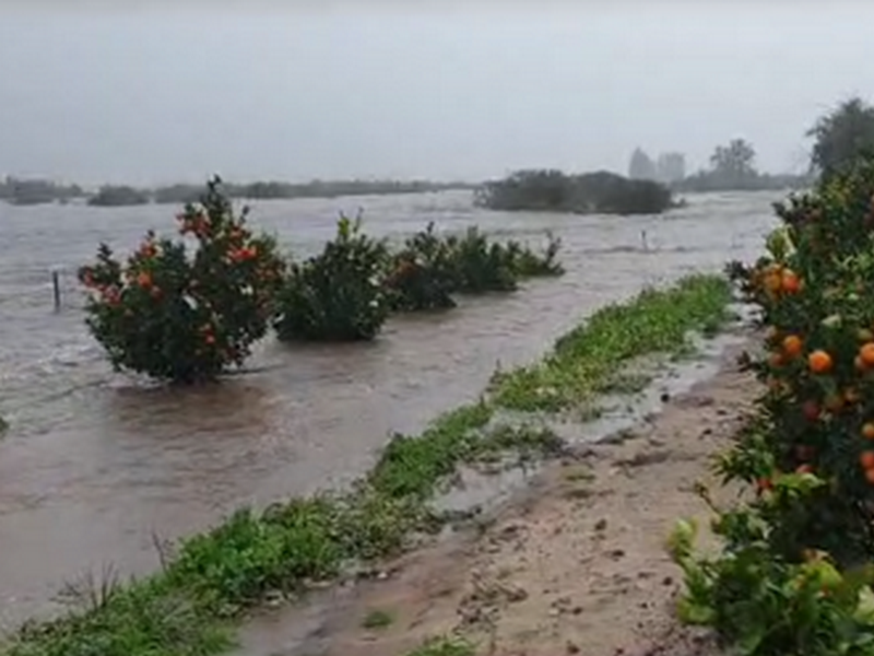 Swift disaster declaration needed to help flood-stricken farmers in Western Cape - Vimarsana News