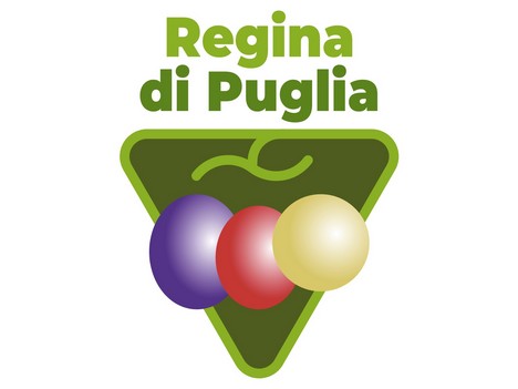 Italy's Puglia region to host table grape season launch events - Vimarsana News