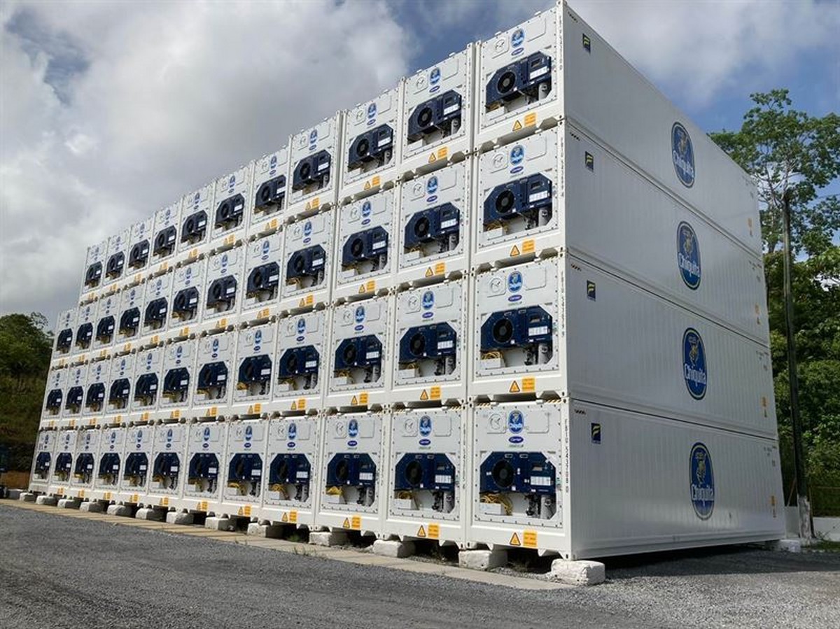Chiquita increases investment in container refrigeration units - Vimarsana News