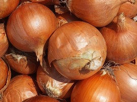Lebanese farmers protest as smuggled Syrian onions flood the market - Vimarsana News