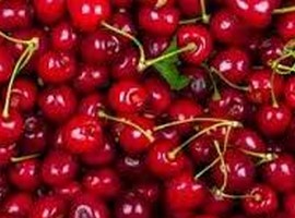 Prices of American cherries drop to new low in Vietnam - Vimarsana News