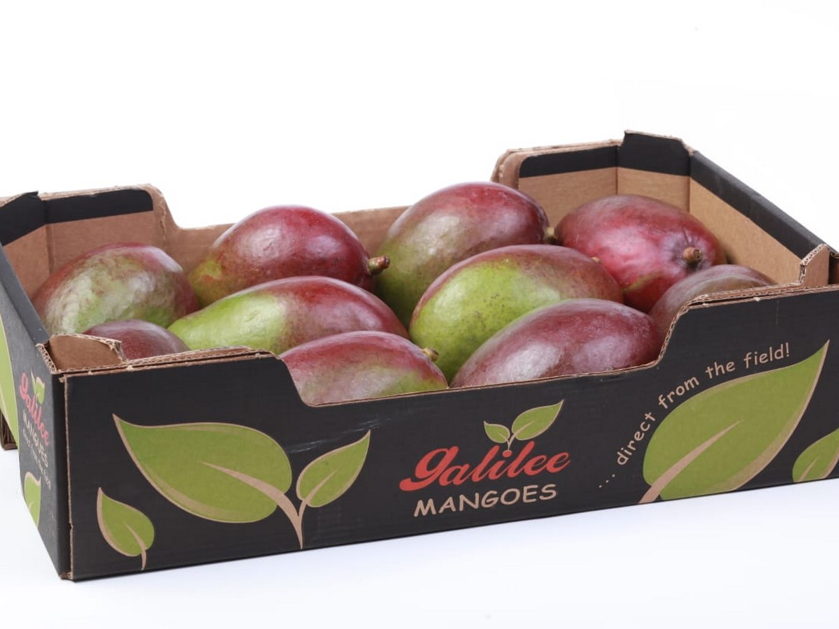 "From Israel we're seeing a higher ready-to-eat mango trend in Europe" - Vimarsana News