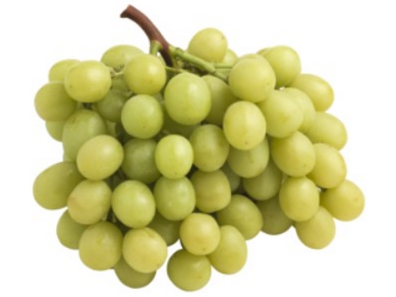 Launch of first global branded grape marketing campaign - Vimarsana News
