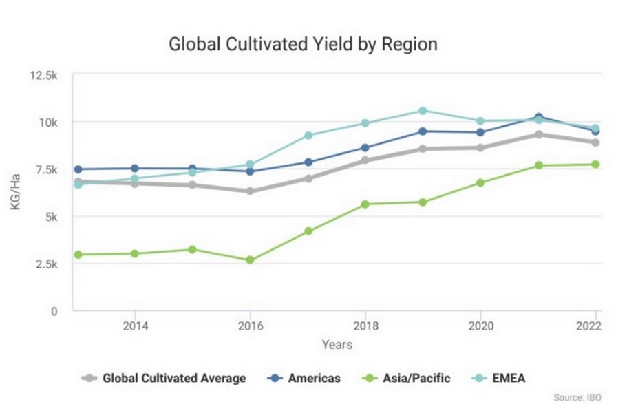"Global blueberry industry faces significantly disrupted year" - Vimarsana News