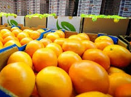 South African citrus export numbers switch back and forth between China and Europe - Vimarsana News