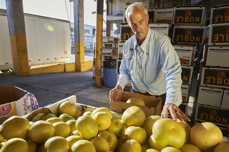 Florida rebounds with solid Pummelo crop - Vimarsana News