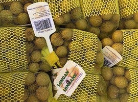 Longans from Vietnam on Thai supermarket shelves for first time - Vimarsana News