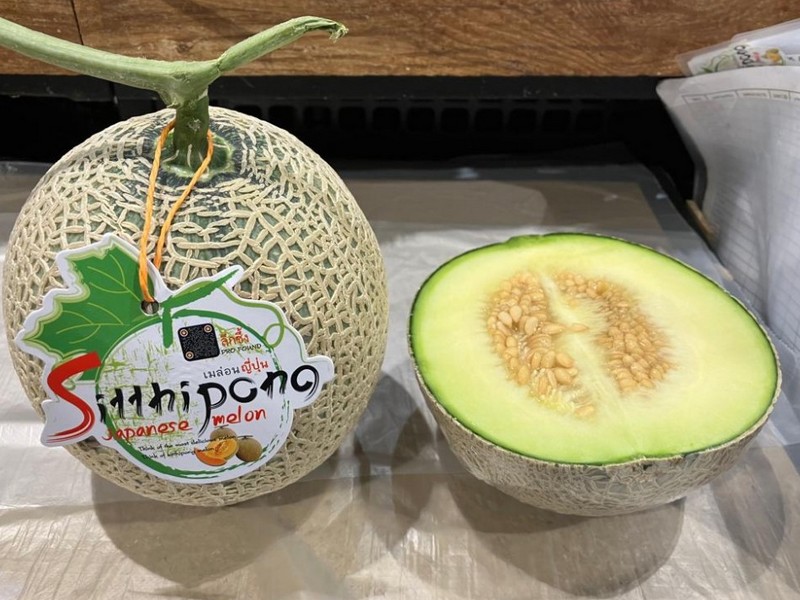 Sitthipong Japanese melons are a hit in Bangkok - Vimarsana News