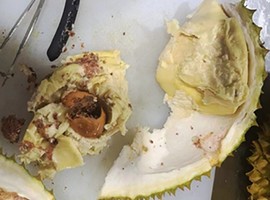 Worms detected in Chumphon durians might lead to Chinese import ban - Vimarsana News