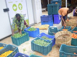 ColdHubs unveils solar-powered cold storage in Bodija market, Ibadan - Vimarsana News