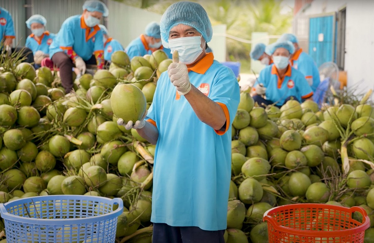 Opportunities for Vietnamese coconut in the US and China - Vimarsana News