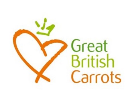 Innovation in carrot cultivation on show at British carrots demo day - Vimarsana News
