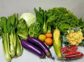 Cold snap drives up prices of some Cameron Highlands vegetables - Vimarsana News