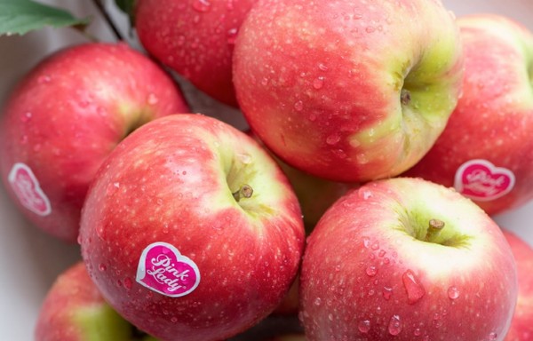 TopFruit celebrates 40 Years of fruit innovation and growth - Vimarsana News