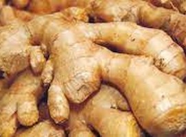 Kaduna ginger farmers lose N10 bn to suspected fungal infection - Vimarsana News