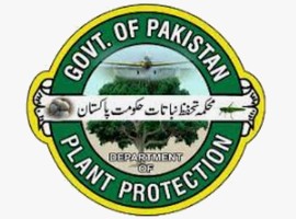 Accreditation of Pakistani HWT plants suspended for exporting untreated mangoes to Iran - Vimarsana News